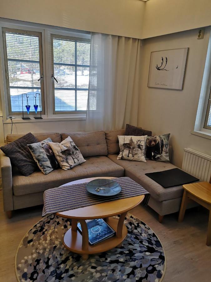 Apartment Seita เลวี ภายนอก รูปภาพ